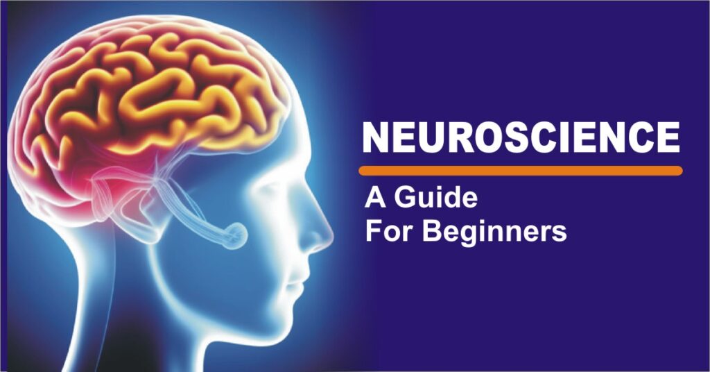 Neuroscience For Beginners